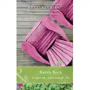 Постер книги Under An Adirondack Sky