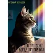 Постер книги В тот вечер, когда пропал кот