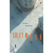 Постер книги Следующий