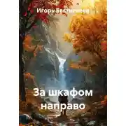 Постер книги За шкафом направо
