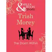 Постер книги The Storm Within
