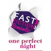 Постер книги One Perfect Night