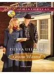 Debra Ullrick - Groom Wanted