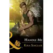 Постер книги Handle Me