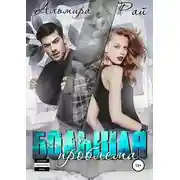 Постер книги Большая проблема