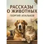 Постер книги Рассказы о животных