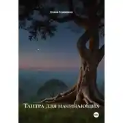 Постер книги Тантра здесь и сейчас: практический путь осознанной близости