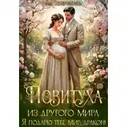 Постер книги Повитуха из другого мира. Я подарю тебе мир, дракон!