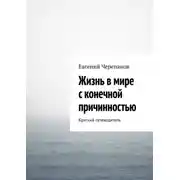 Постер книги Жизнь в мире с конечной причинностью. Краткий путеводитель
