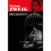 Постер книги Mecburiyet
