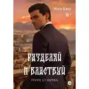 Постер книги Разделяй и властвуй