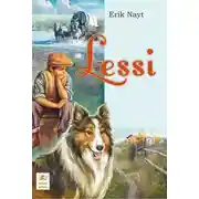 Постер книги Lessi