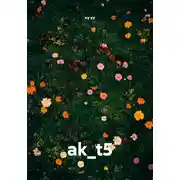 Постер книги ak_t5