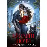 Постер книги Бродяги ночи. Наследие Богов