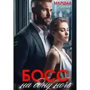 Постер книги Босс на одну ночь