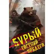 Постер книги Бурый. Медальон удачи