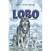 Постер книги Loqo