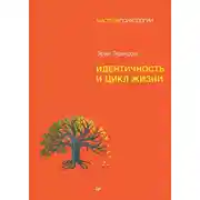 Постер книги Идентичность и цикл жизни