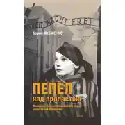 Постер книги Пепел над пропастью. Феномен Концентрационного мира нацистской Германии и его отражение в социокультурном пространстве Европы середины – второй половины ХХ столетия