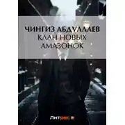 Постер книги Клан новых амазонок