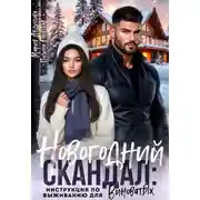Постер книги Новогодний скандал: инструкция по выживанию для виноватых