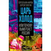 Постер книги Царь-холод, или Почему вымерзает Россия