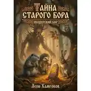 Постер книги Тайна Старого Бора