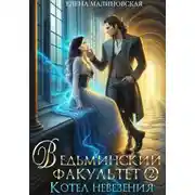 Постер книги Ведьминский факультет. Книга вторая. Котел невезения