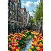 Постер книги Слепая любовь