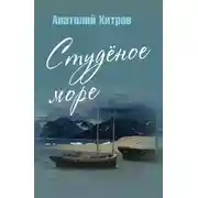 Постер книги Студёное море