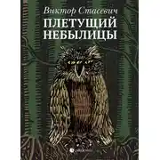 Постер книги Плетущий небылицы