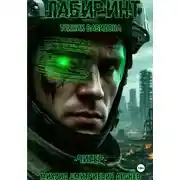 Постер книги Лабиринт: Техник Вавилона. Книга 1: Читер