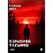 Постер книги Взрывной флешмоб