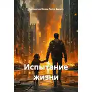 Постер книги Испытание жизни