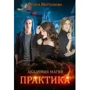 Постер книги Практика