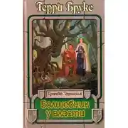 Постер книги Волшебник у власти