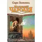 Постер книги Наследие чародея