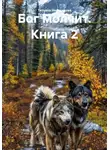 Татьяна Немшанова - Бог молчит. Книга 2