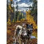 Постер книги Бог молчит. Книга 2