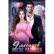 Постер книги 9 месяцев после развода