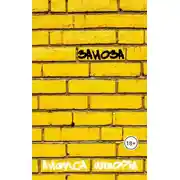Постер книги Заноза