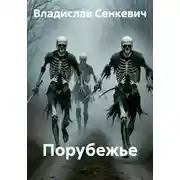 Постер книги Порубежье