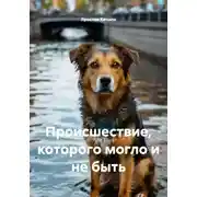 Постер книги Происшествие, которого могло и не быть