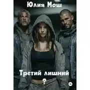 Постер книги Третий лишний?
