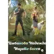 Постер книги Ищите босса