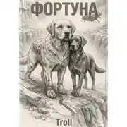 Постер книги Фортуна