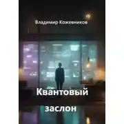 Постер книги Квантовый заслон