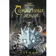 Постер книги Павший