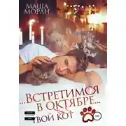 Постер книги Встретимся в октябре. Твой кот