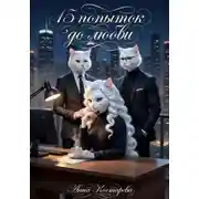 Постер книги Пятнадцать попыток до любви
